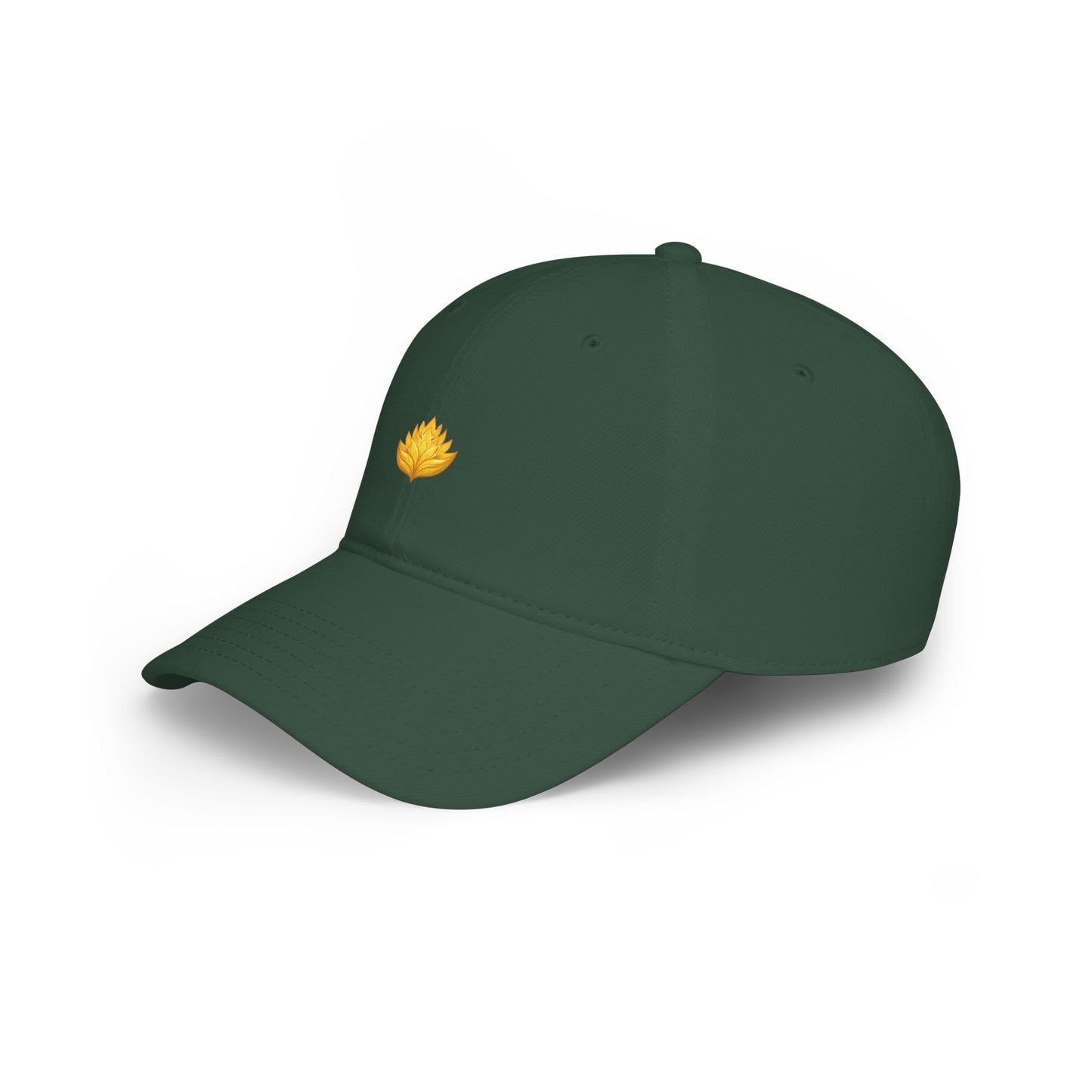 Low Profile Baseball Cap
