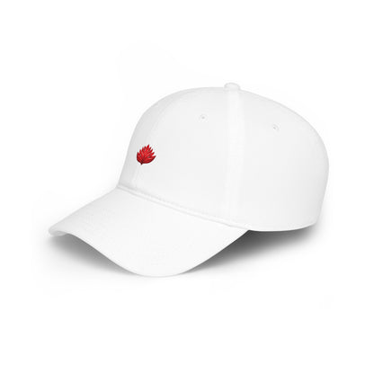 Low Profile Baseball Cap